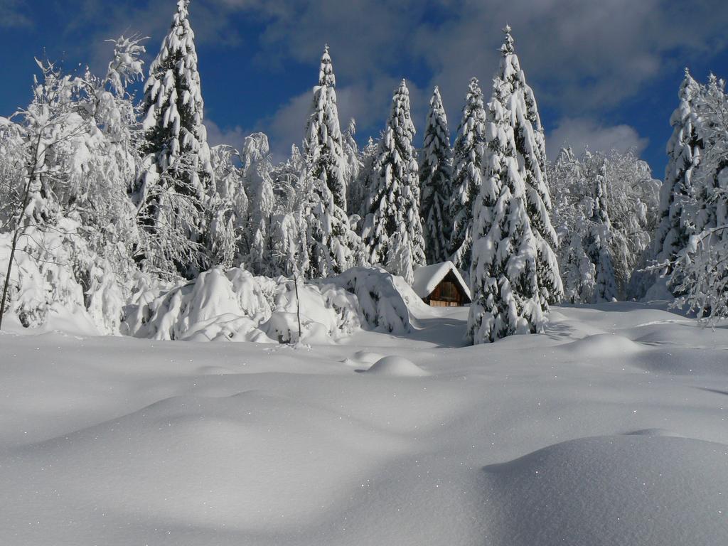 Hiska Henrik Zalokar Lägenhet Bohinj Exteriör bild