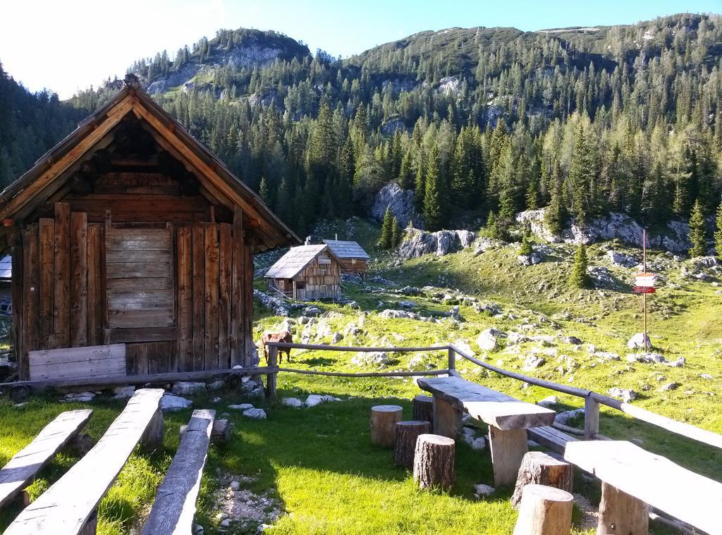 Hiska Henrik Zalokar Lägenhet Bohinj Rum bild