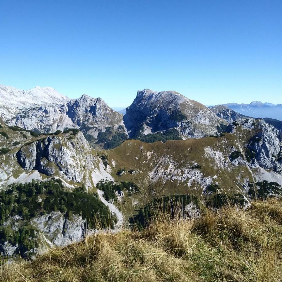 Hiska Henrik Zalokar Lägenhet Bohinj Exteriör bild